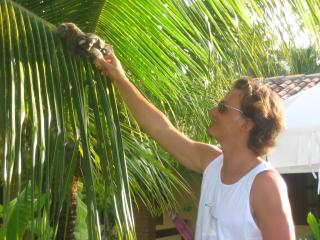 Pousada Canto De Imbassai - 3