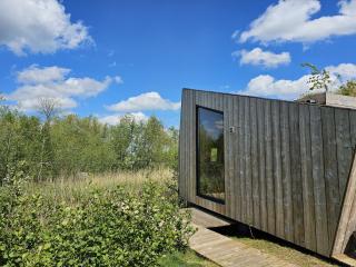 Tiny house De Wylp - Westergeest - 9