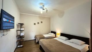 Meshia Apartment - Kazbegi - 9