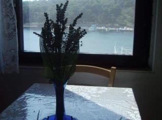 Apartment Mirjana - Prvić Luka - 5
