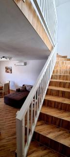 Apartment Alexandra - Vir - 3