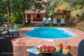 Villa la Pieve - Camaiore - 8