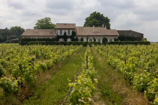 Le Jardin dans les vignes - Barsac - 9