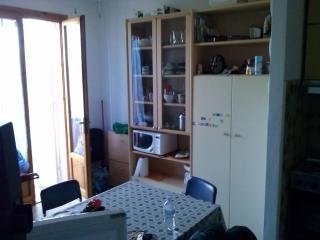 Alex house Cecina Mare - Marina di Cecina - 2