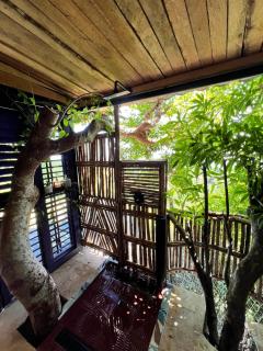 Casa El Paraiso, Eco Lodge - Santa Bárbara de Samaná - 5