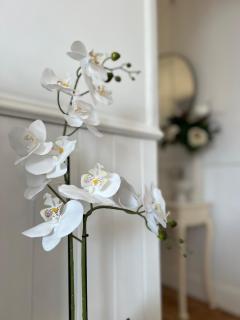 Kodu Cottage Hunter Valley - Cessnock - 8