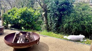River Cottage at Old Post Office - Bardon Mill - 8