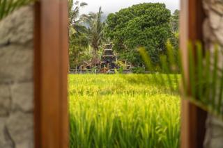 The Ume Sidemen Villas - Sidemen - 8