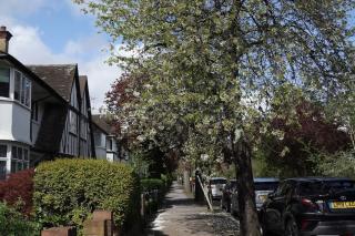 5 Bed Luxury London Home - Londra - 1
