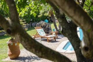 Villa Niloan - Olbia - 2