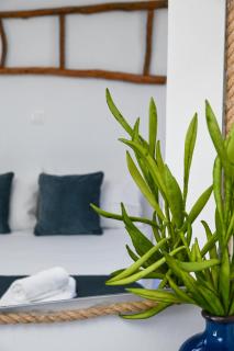 Navis studio - Zefiría - 4