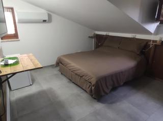 Gli Agrifogli - San Lorenzo Nuovo - 9