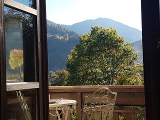 Gemütliche Fewo mit Balkon und Bergblick im Oberallgäu, Ruhig und Zentrumsnah - Immenstadt im Allgäu - 8