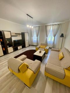 Enjoy Apartments - Spacious Retreat in our Villa - Cluj-Napoca - 8
