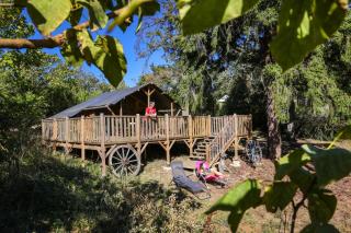 Les Auzerals camping du lac - Rabastens - 1