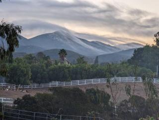 TinyHome at the Sanctuary - 9