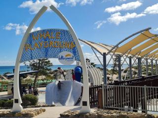 Chic 2 Bed Apartment On Scarborough Beach - Perth - 1