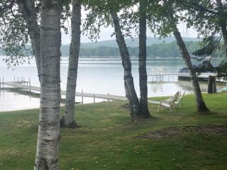 Birch Cove Bungalow - Gorgeous Lakefront! - 2