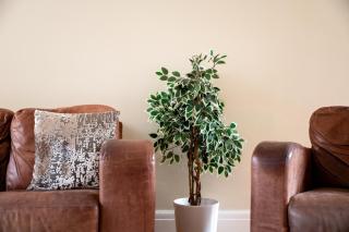 Fantastic, modern 3 bedroom house - Manchester - 2