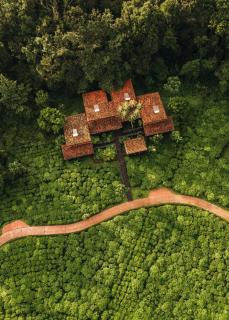 One&Only Nyungwe House - Rwumba - 9