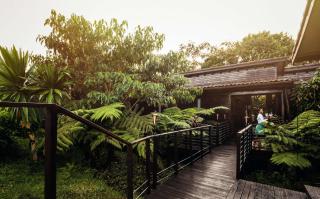 One&Only Nyungwe House - Rwumba - 7