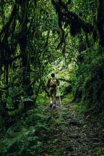 One&Only Nyungwe House - Rwumba - 5