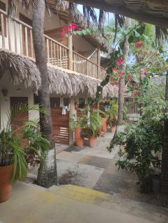 Pousada Tropical Brasil Jeri - 7