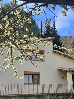 CASA MONTEPINAR - Cazorla - 0