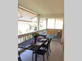 Hibiscus - Cannes - 0