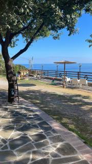 Il Poggio del Mare - San Mauro Cilento - 8