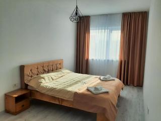 Arena Apartment - Braşov - 9
