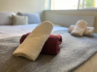 DeLux 1 bd Apt Regents Park NW8 - London - 4