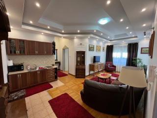Airport SKY apartments LUX II - Belgrado - 4