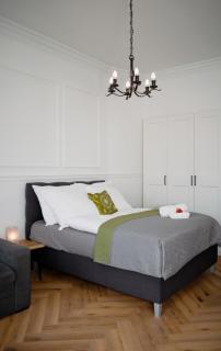 Pedestrian apartment, the best location - Budapest - 4