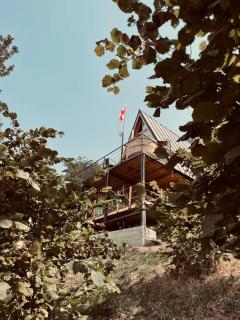 The overlook cottage 2 - 5