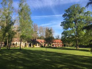 Domaine de Montizeau - Lailly-en-Val - 9