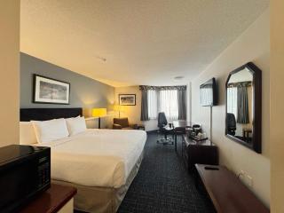 Divya Sutra Plaza and Conference Centre Calgary Airport - Calgary - 1
