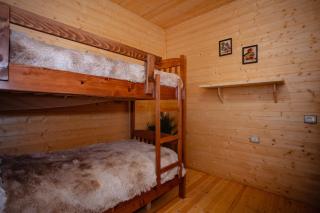 Shpija Ujevara e Vogel - 4