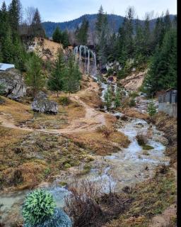 Pensiune La Becu - Vidra - 2