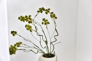 Villa Valena Apartment 9 with Cooling Pool - 1