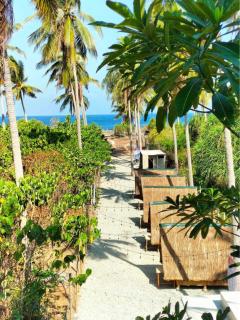 Patar Palms - Bolinao - 8