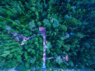 Humble Nest Coorg - Suntikoppa - 0