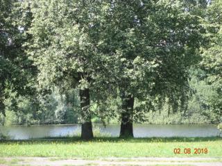 Budroom - Riga - 2