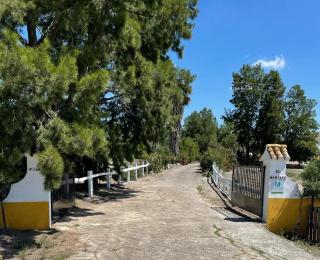 Cortijo el Morisco. - Espera - 0