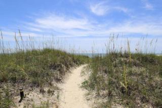 Southern Comfort Living on the Beach! - North Myrtle Beach - 2