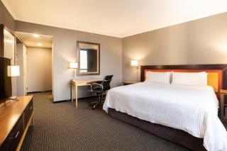 Holiday Inn Express Puerto Madero by IHG - 1