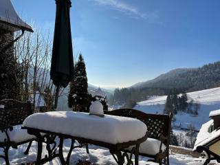 Holiday Home in Black Forest with Sauna - Berneck - 3