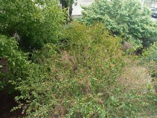 Appartement Montpellier Sud 3 pièces - Montpellier - 1
