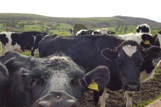 Famau View Farm- Stunning countryside location - Mold - 3
