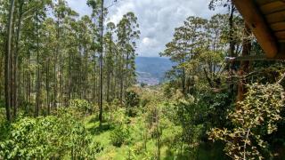 La Esperanza Lodge and Reserve - Jardin - 2